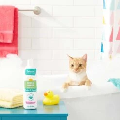 Frisco Aloe Hydrating Dog & Cat Spray, Sweet Nectar Scent & Frisco Oatmeal Dog & Cat Shampoo, Almond Scent 17 Frisco Aloe Hydrating Dog & Cat Spray, Sweet Nectar Scent & Frisco Oatmeal Dog & Cat Shampoo, Almond Scent -Frisco Sales Store 303372 PT8. AC SS1800 V1623070966