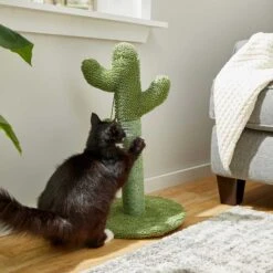 Frisco Cactus Cat Scratching Post & Frisco Dangly Avocado Buddy Plush Cat Toy With Catnip -Frisco Sales Store 303380 PT3. AC SS1800 V1623081149