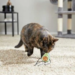 Frisco Cactus Cat Scratching Post & Frisco Dangly Avocado Buddy Plush Cat Toy With Catnip -Frisco Sales Store 303380 PT6. AC SS1800 V1623085642