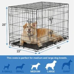 Frisco Fold & Carry Double Door Collapsible Wire Dog Crate & Mat Kit & Frisco Stainless Steel Bowl -Frisco Sales Store 303428 PT2. AC SS1800 V1623055045