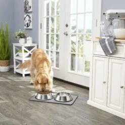 Frisco Fold & Carry Double Door Collapsible Wire Dog Crate & Mat Kit & Frisco Stainless Steel Bowl -Frisco Sales Store 303428 PT7. AC SS1800 V1623045760