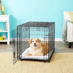 Frisco Fold & Carry Single Door Collapsible Wire Dog Crate & Frisco Premium Extra Large Printed Dog Training & Potty Pads -Frisco Sales Store 303438 PT4. AC SS1800 V1623088347