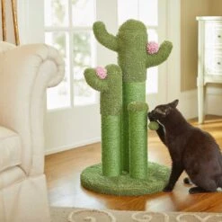Frisco Self Warming Bolster Round Kitten Bed & Frisco Cactus Cat Scratching Post -Frisco Sales Store 303576 PT7. AC SS1800 V1623065551