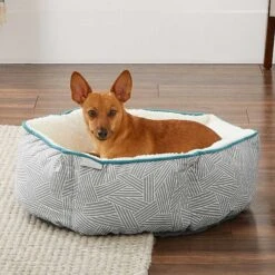 Frisco Sherpa Dog & Cat Blanket & Frisco Sherpa Hexagon Bolster Cat & Dog Bed 15 Frisco Sherpa Dog & Cat Blanket & Frisco Sherpa Hexagon Bolster Cat & Dog Bed -Frisco Sales Store 303598 PT7. AC SS1800 V1623071862