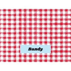 Frisco Personalized Gingham Plaid Sherpa Cat & Dog Blanket, 30" X 40" 10 Frisco Personalized Gingham Plaid Sherpa Cat & Dog Blanket, 30" X 40" -Frisco Sales Store 303834 PT4. AC SS1800 V1637610144