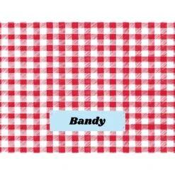 Frisco Personalized Gingham Plaid Soft Fleece Cat & Dog Blanket, 30" X 40" -Frisco Sales Store 304001 PT4. AC SS1800 V1637609279