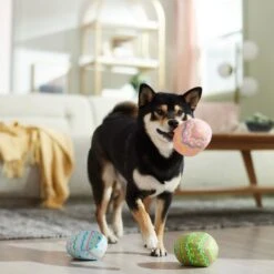 Frisco Easter Eggs Plush Squeaky Dog Toy 10 Frisco Easter Eggs Plush Squeaky Dog Toy -Frisco Sales Store 304954 PT4. AC SS1800 V1702500565