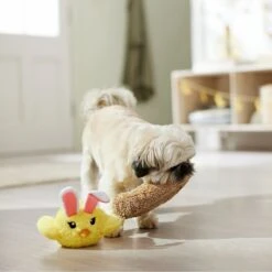 Frisco Easter Chick In Nest 2-in-1 Plush Squeaky Dog Toy 8 Frisco Easter Chick In Nest 2-in-1 Plush Squeaky Dog Toy -Frisco Sales Store 304962 PT4. AC SS1800 V1702500565