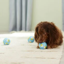 Frisco Easter Fetch Squeaky Tennis Ball Dog Toy, Medium, 3 Count 8 Frisco Easter Fetch Squeaky Tennis Ball Dog Toy, Medium, 3 Count -Frisco Sales Store 304964 PT4. AC SS1800 V1703184745