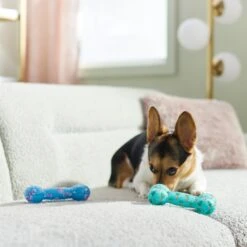 Frisco Easter TPR Bone Squeaky Dog Toy, Medium/Large, 2 Count 8 Frisco Easter TPR Bone Squeaky Dog Toy, Medium/Large, 2 Count -Frisco Sales Store 304966 PT4. AC SS1800 V1670608502