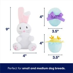 Frisco Easter Basket Hide & Seek Puzzle Plush Squeaky Dog Toy 8 Frisco Easter Basket Hide & Seek Puzzle Plush Squeaky Dog Toy -Frisco Sales Store 304982 PT2. AC SS1800 V1702665735