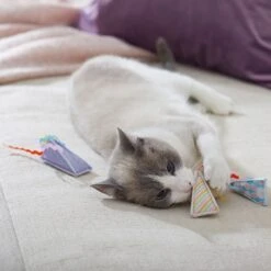 Frisco Spring Party Hat Kickers Cat Toy With Catnip 6 Frisco Spring Party Hat Kickers Cat Toy With Catnip -Frisco Sales Store 306960 PT3. AC SS1800 V1703184746