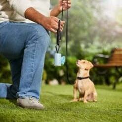 Frisco Dog Poop Bag Square Design Dispenser -Frisco Sales Store 309816 PT5. AC SS1800 V1670276147