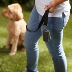 Frisco Poop Bag Square Design Dispenser 12 Frisco Poop Bag Square Design Dispenser -Frisco Sales Store 309818 PT5. AC SS1800 V1669101248