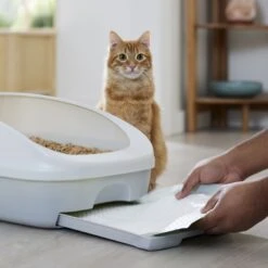 Frisco Cat Litter Pads, Scented -Frisco Sales Store 309828 PT5. AC SS1800 V1675280050