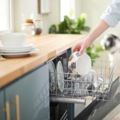 Frisco Animal Design Stainless Steel Dog & Cat Bowl 15 Frisco Animal Design Stainless Steel Dog & Cat Bowl -Frisco Sales Store 311960 PT7. AC SS1800 V1642543141