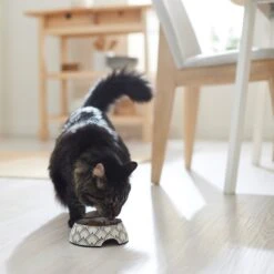 Frisco Moroccan Design Stainless Steel Dog & Cat Bowl 11 Frisco Moroccan Design Stainless Steel Dog & Cat Bowl -Frisco Sales Store 311963 PT3. AC SS1800 V1642542386