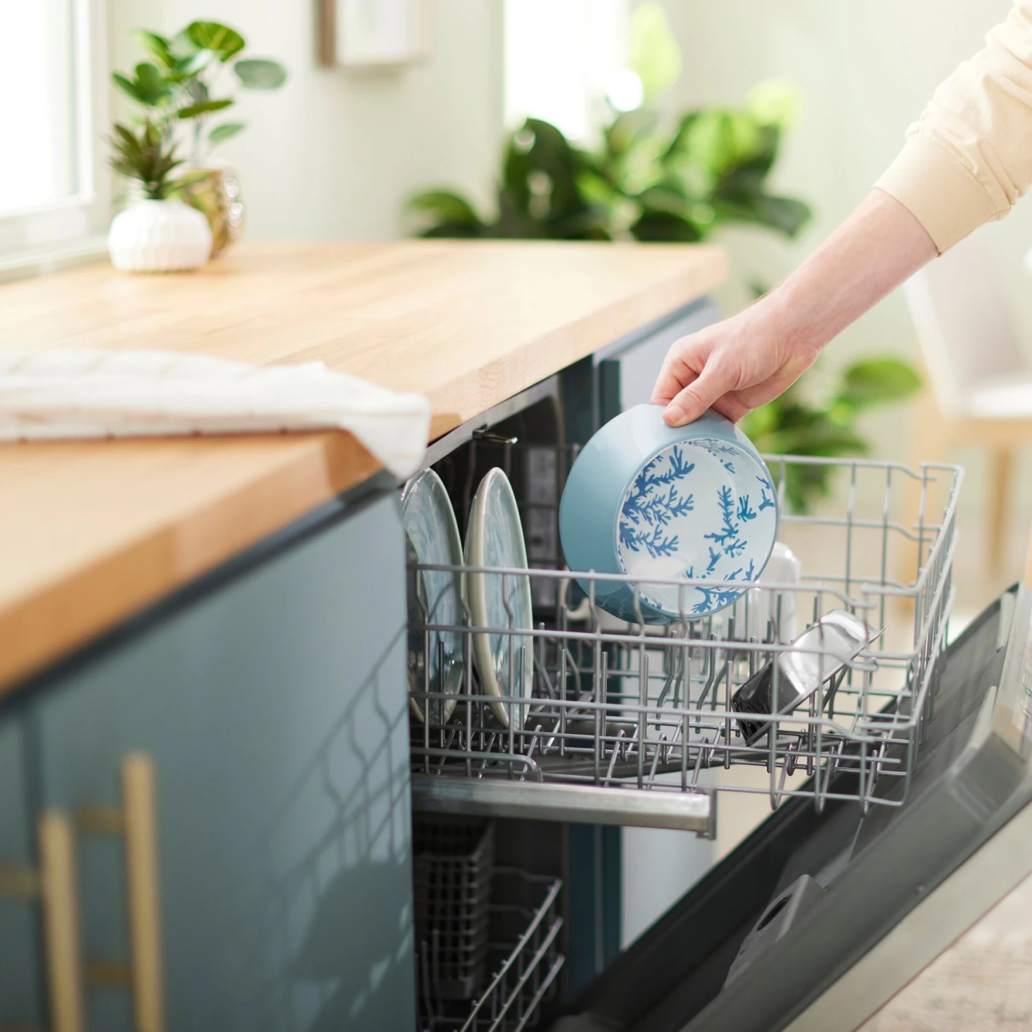 Frisco Coral Design Stainless Steel Dog & Cat Bowl 8 Frisco Coral Design Stainless Steel Dog & Cat Bowl - Image 8