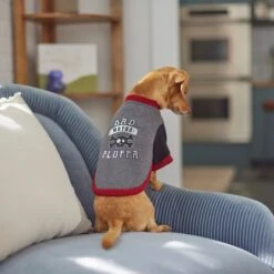 Frisco Bad Motha Fluffa Dog & Cat T-Shirt -Frisco Sales Store 312048 PT8. AC SS1800 V1644446866