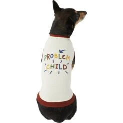 Frisco Problem Child Dog & Cat T-Shirt -Frisco Sales Store 312064 PT3. AC SS1800 V1673303532