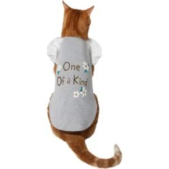 Frisco One Of A Kind Dog & Cat T-Shirt 9 Frisco One Of A Kind Dog & Cat T-Shirt -Frisco Sales Store 312080 PT2. AC SS1800 V1644424427