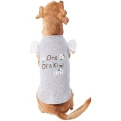 Frisco One Of A Kind Dog & Cat T-Shirt 10 Frisco One Of A Kind Dog & Cat T-Shirt -Frisco Sales Store 312080 PT3. AC SS1800 V1673303002