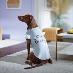 Frisco One Of A Kind Dog & Cat T-Shirt 12 Frisco One Of A Kind Dog & Cat T-Shirt -Frisco Sales Store 312080 PT5. AC SS1800 V1673304060