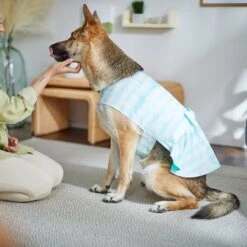 Frisco Green Tie Dye Dog & Cat Dress -Frisco Sales Store 312104 PT8. AC SS1800 V1644424641