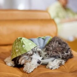 Frisco Green Southwest Dog & Cat Hoodie -Frisco Sales Store 312248 PT8. AC SS1800 V1644883113