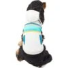 Frisco Striped Dog & Cat Hoodie