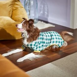 Frisco Boho Gingham Dog & Cat PJs -Frisco Sales Store 312272 PT8. AC SS1800 V1644880063