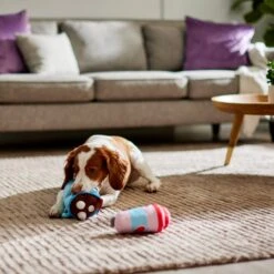 Frisco Valentine Coffee For Two Ballistic Nylon Plush Squeaky Dog Toy -Frisco Sales Store 312897 PT3. AC SS1800 V1638987357