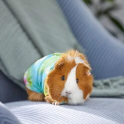Frisco Pineapple Hawaiian Camp Guinea Pig Shirt 9 Frisco Pineapple Hawaiian Camp Guinea Pig Shirt -Frisco Sales Store 313122 PT8. AC SS1800 V1644524562