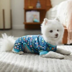 Frisco Celebration Dog & Cat PJs -Frisco Sales Store 315105 PT8. AC SS1800 V1646437758