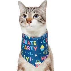 Frisco Celebration Dog & Cat Bandana 9 Frisco Celebration Dog & Cat Bandana -Frisco Sales Store 315133 PT2. AC SS1800 V1646439780