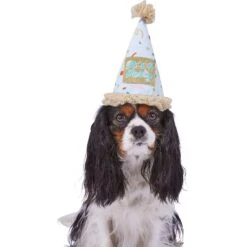 Frisco It's A Party Animal Dog & Cat Hat 6 Frisco It's A Party Animal Dog & Cat Hat -Frisco Sales Store 315140 PT2. AC SS1800 V1646434624