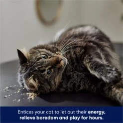 Frisco Natural Catnip 10 Frisco Natural Catnip -Frisco Sales Store 316067 PT3. AC SS1800 V1683132277