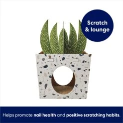 Frisco Potted Succulent Cardboard Cat House 8 Frisco Potted Succulent Cardboard Cat House -Frisco Sales Store 317723 PT2. AC SS1800 V1689342085