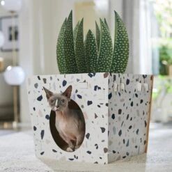 Frisco Potted Succulent Cardboard Cat House 10 Frisco Potted Succulent Cardboard Cat House -Frisco Sales Store 317723 PT4. AC SS1800 V1688677260