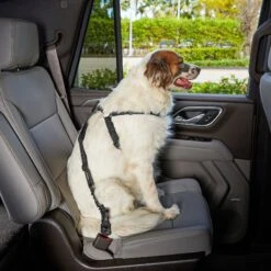 Frisco Adjustable Dog Seatbelt Tether & Frisco Quilted Water Resistant Bench Car Seat Cover 12 Frisco Adjustable Dog Seatbelt Tether & Frisco Quilted Water Resistant Bench Car Seat Cover -Frisco Sales Store 318966 PT3. AC SS1800 V1630360879