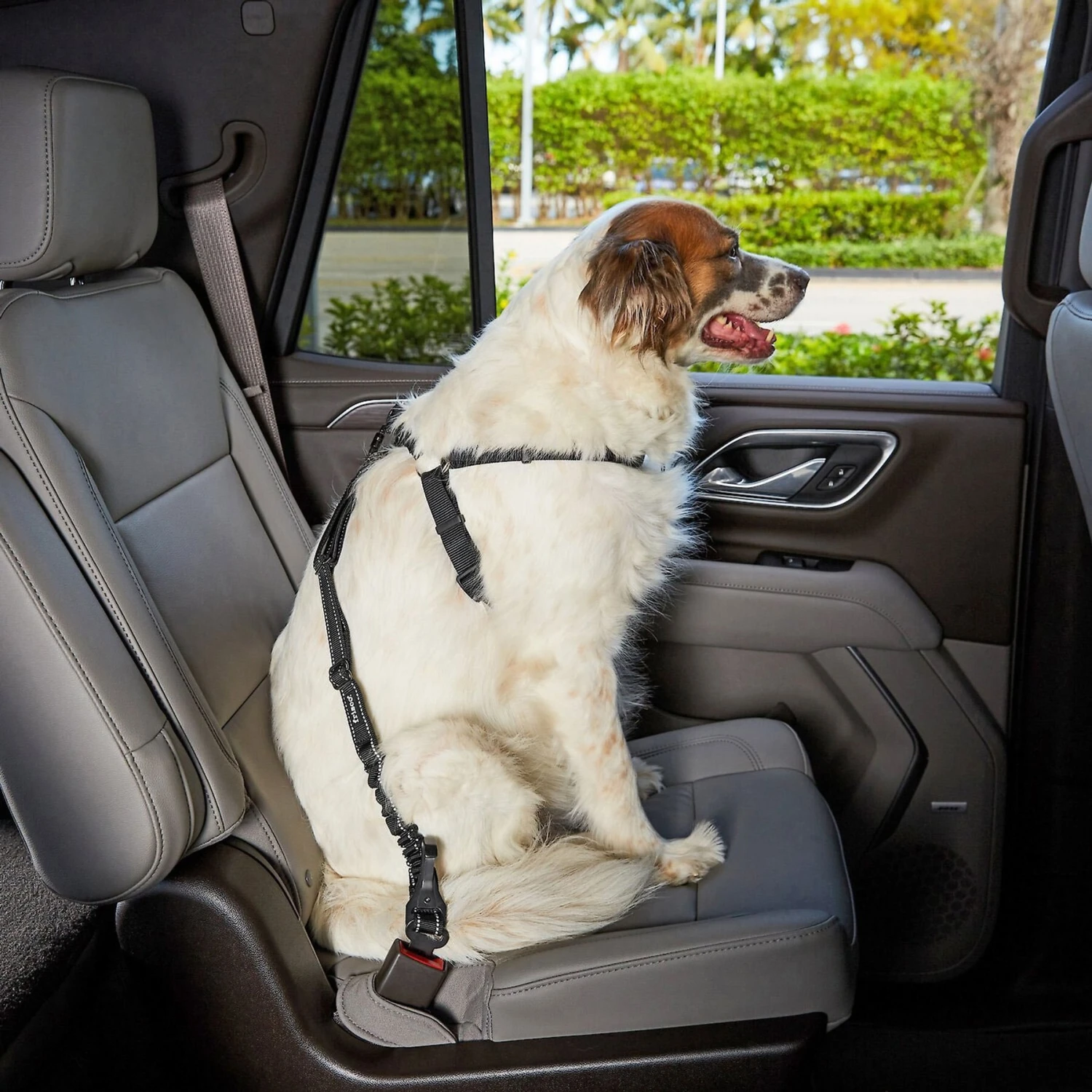 Frisco Adjustable Dog Seatbelt Tether & Frisco Quilted Water Resistant Bench Car Seat Cover 4 Frisco Adjustable Dog Seatbelt Tether & Frisco Quilted Water Resistant Bench Car Seat Cover - Image 4