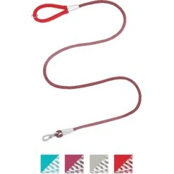 Frisco Outdoor Comfort Print Nylon Padded Dog Collar & Frisco Outdoor Ultra Reflective Rope Leash With Padded Handle 14 Frisco Outdoor Comfort Print Nylon Padded Dog Collar & Frisco Outdoor Ultra Reflective Rope Leash With Padded Handle -Frisco Sales Store 319066 PT5. AC SS1800 V1631157395