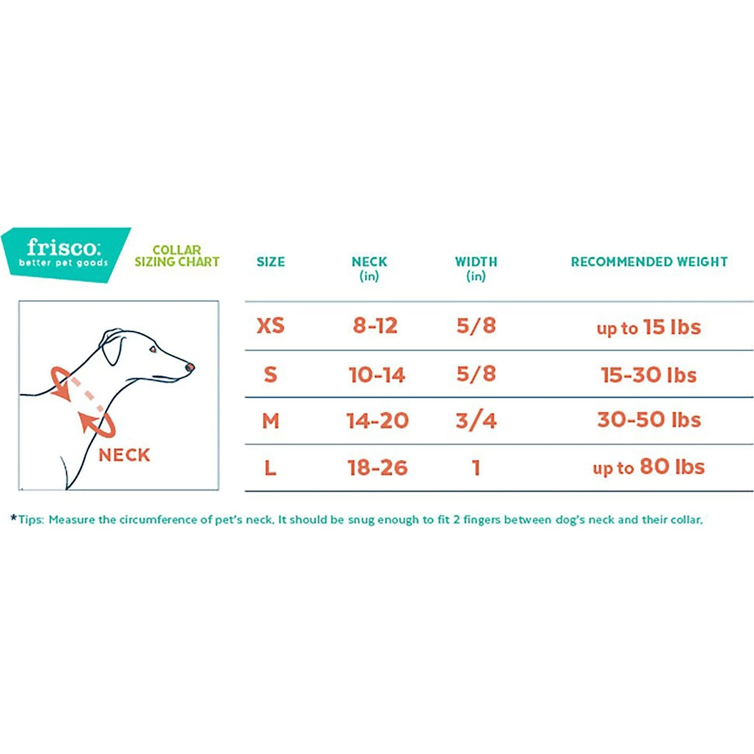 Frisco Outdoor Ultra Reflective Nylon Dog Collar & Frisco Outdoor Ultra Reflective Rope Leash With Padded Handle 4 Frisco Outdoor Ultra Reflective Nylon Dog Collar & Frisco Outdoor Ultra Reflective Rope Leash With Padded Handle - Image 4