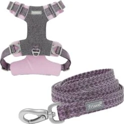 Frisco Outdoor Lightweight Ripstop Nylon Dog Harness & Frisco Outdoor Heathered Nylon Leash