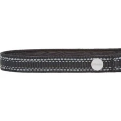 Frisco Outdoor Premium Ripstop Nylon Dog Harness With Pocket & Frisco Outdoor Nylon Reflective Comfort Padded Dog Collar 15 Frisco Outdoor Premium Ripstop Nylon Dog Harness With Pocket & Frisco Outdoor Nylon Reflective Comfort Padded Dog Collar -Frisco Sales Store 319304 PT6. AC SS1800 V1631158591