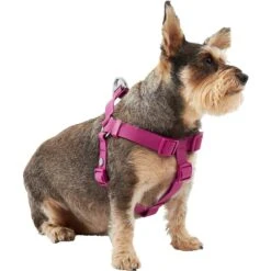 Frisco Outdoor Solid Textured Waterproof Stink Proof PVC Dog Harness & Frisco Outdoor Solid Textured Waterproof Stink Proof PVC Dog Leash -Frisco Sales Store 319356 PT2. AC SS1800 V1631150788