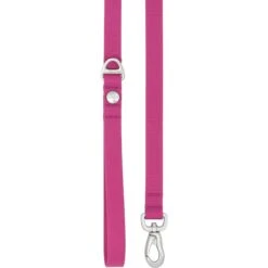 Frisco Outdoor Solid Textured Waterproof Stink Proof PVC Dog Harness & Frisco Outdoor Solid Textured Waterproof Stink Proof PVC Dog Leash -Frisco Sales Store 319356 PT6. AC SS1800 V1631160674