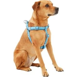 Frisco Outdoor Two Tone Waterproof Stinkproof PVC Dog Harness & Frisco Outdoor Two Tone Waterproof Stinkproof PVC Dog Harness -Frisco Sales Store 319396 PT2. AC SS1800 V1630624884