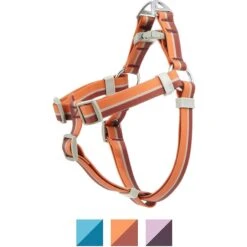 Frisco Outdoor Two Toned Waterproof Stink Proof PVC Dog Leash & Frisco Outdoor Two Tone Waterproof Stinkproof PVC Dog Harness -Frisco Sales Store 319448 PT4. AC SS1800 V1631154390