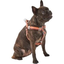 Frisco Outdoor Two Toned Waterproof Stink Proof PVC Dog Leash & Frisco Outdoor Two Tone Waterproof Stinkproof PVC Dog Harness -Frisco Sales Store 319448 PT5. AC SS1800 V1631146290